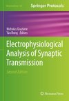 Electrophysiological Analysis of Synaptic Transmission