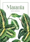 Maranta