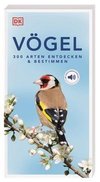 Vögel