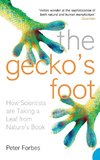 The Gecko's Foot