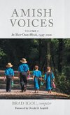 Amish Voices, Volume 2