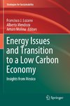 Energy Issues and Transition to a Low Carbon Economy