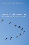 Meter and Meaning