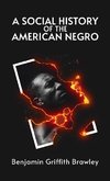 Social History of the American Negro Hardcover