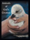 Animals of God's Creation