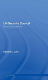 UN Security Council