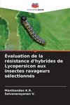 Évaluation de la résistance d'hybrides de Lycopersicon aux insectes ravageurs sélectionnés