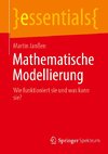 Mathematische Modellierung