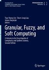 Granular, Fuzzy, and Soft Computing