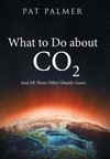 What to Do About Co2