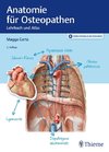 Anatomie für Osteopathen