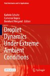 Droplet Dynamics Under Extreme Ambient Conditions