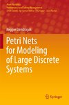 Petri Nets for Modeling of Large Discrete Systems