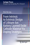 From Intrinsic to Extrinsic Design of Lithium-Ion Battery Layered Oxide Cathode Material Via Doping Strategies