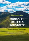 Mongolei: mehr als Rohstoffe