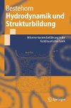 Hydrodynamik und Strukturbildung