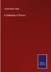 A Collection of Poems