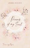 Pieces of my Soul