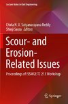 Scour- and Erosion-Related Issues