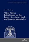 Akteur «Wasser»: Betrachtungen aus den Rechts-, Geo-, Kunst-, Musik- und Literaturwissenschaften