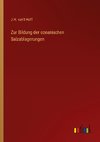 Zur Bildung der ozeanischen Salzablagerungen