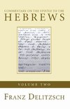 Commentary on the Epistle to the Hebrews, Volume 2