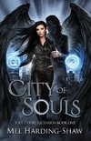 City of Souls