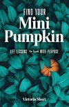 Find Your Mini Pumpkin