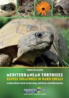 Mediterranean Tortoises: Gentle Creatures in Hard Shells