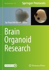 Brain Organoid Research