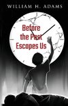 Before the Past Escapes Us