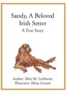 Sandy, A Beloved Irish Setter