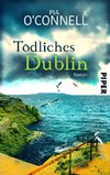 Tödliches Dublin