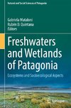 Freshwaters and Wetlands of Patagonia