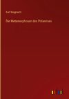 Die Metamorphosen des Polareises