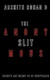 The Anonymous Slit