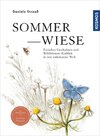 Sommerwiese