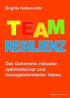 Team-Resilienz