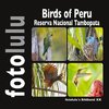 Birds of Peru