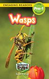 Wasps