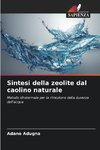 Sintesi della zeolite dal caolino naturale