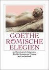 Römische Elegien und Venezianische Epigramme