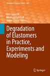 Degradation of Elastomers in Practice, Experiments and Modeling