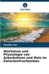 Wachstum und Physiologie von Ackerbohnen und Mais im Zwischenfruchtanbau