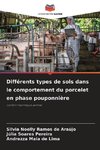 Différents types de sols dans le comportement du porcelet en phase pouponnière