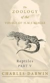 Reptiles - Part V - The Zoology of the Voyage of H.M.S Beagle