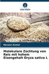 Molekulare Züchtung von Reis mit hohem Eisengehalt Oryza sativa L