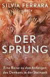 Der Sprung