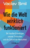 Wie die Welt wirklich funktioniert