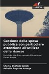 Gestione della spesa pubblica con particolare attenzione all'utilizzo delle risorse